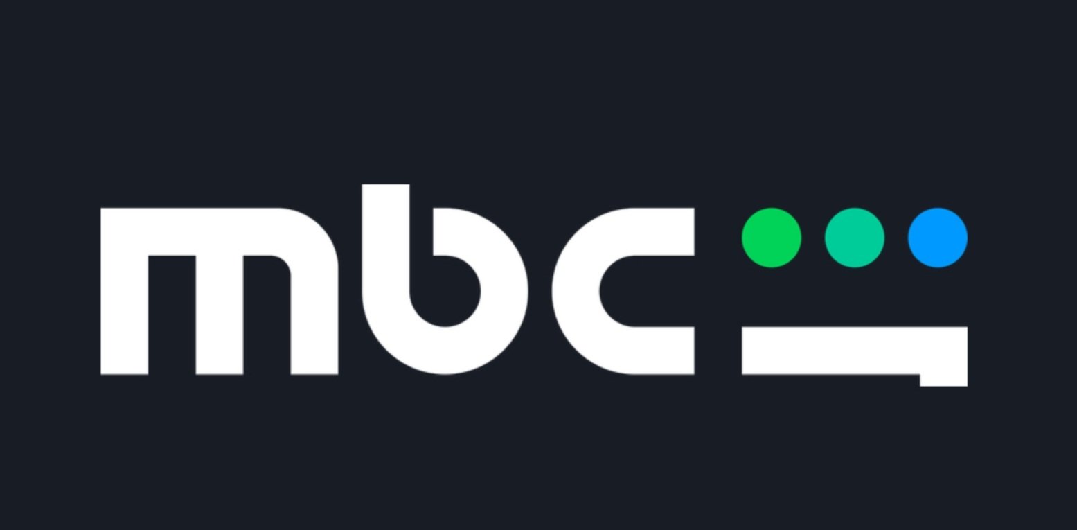 SHAHID 1 User Mobile / 3 Months